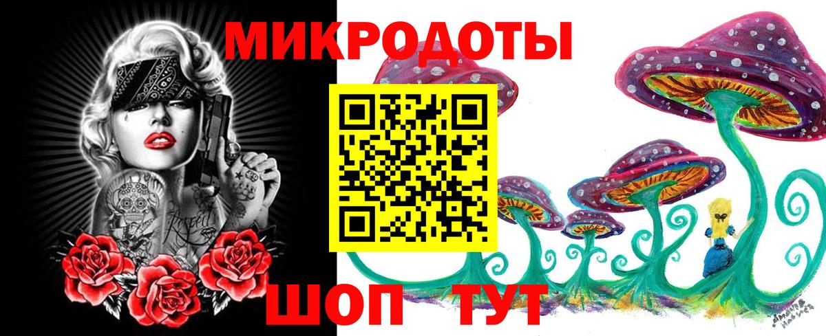 APVP Кропоткин