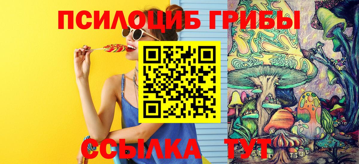 Галлюциногенные грибы Psilocybe  наркота  Кропоткин  Вход с VPN 